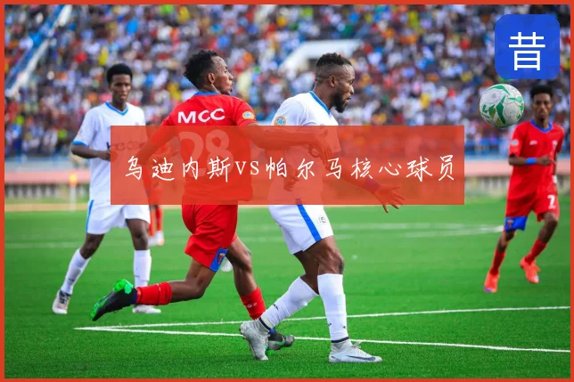 乌迪内斯vs帕尔马核心球员